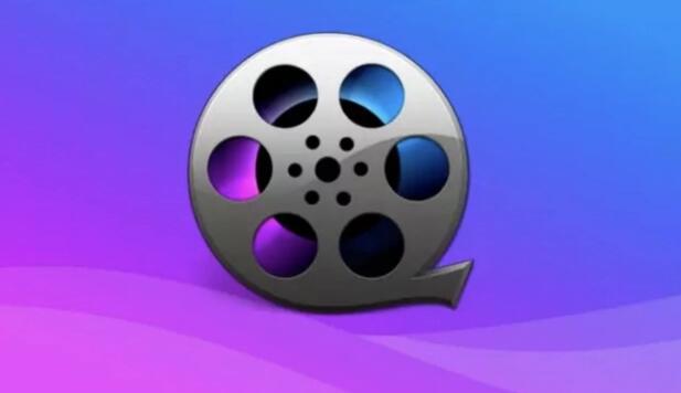 能下载视频的视频软件大全