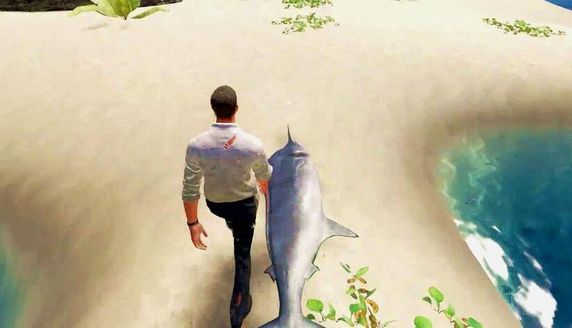 生存类游戏大全