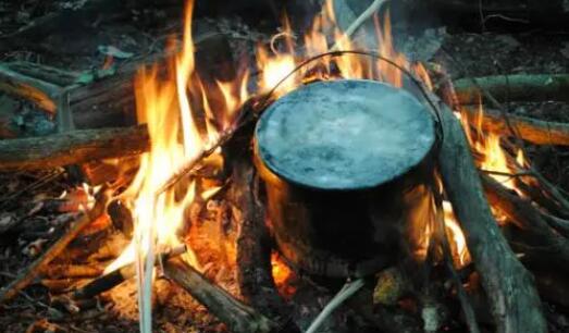 野外生存手游大全