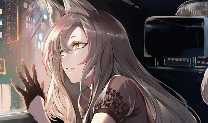 宅男必备软件大全