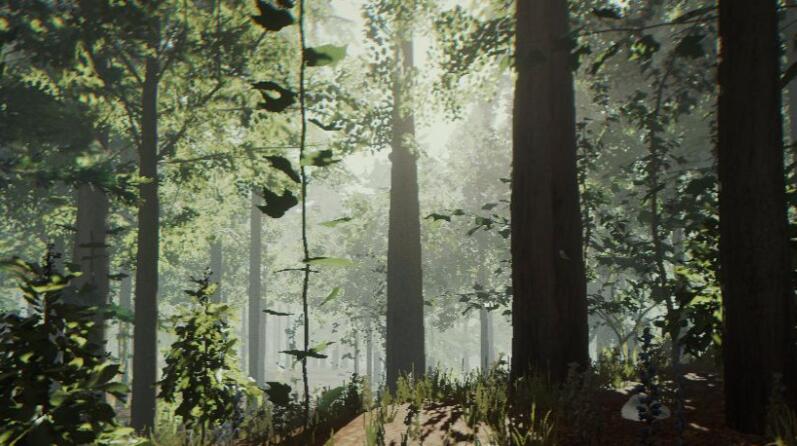 生存多人联机游戏大全