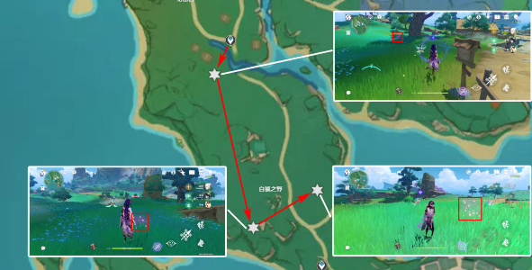 绯樱绣球采集路线