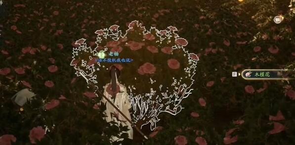 射雕手游木槿花收集方法