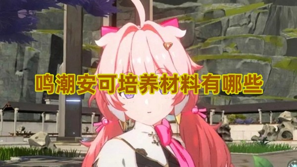 鸣潮安可培养材料有哪些