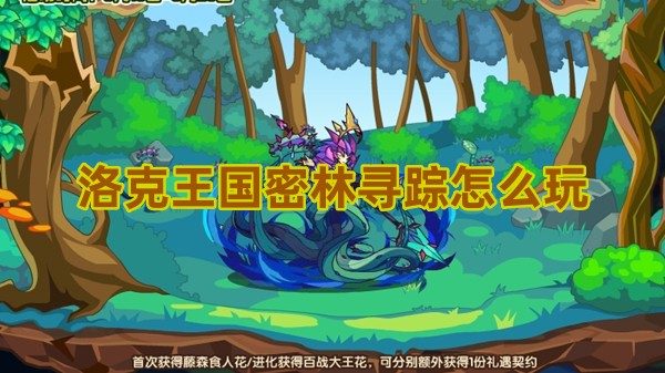 洛克王国密林寻踪怎么玩