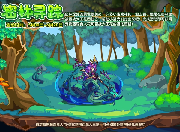 洛克王国密林寻踪怎么玩