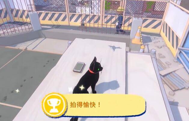 小猫咪大城市拍得愉快攻略