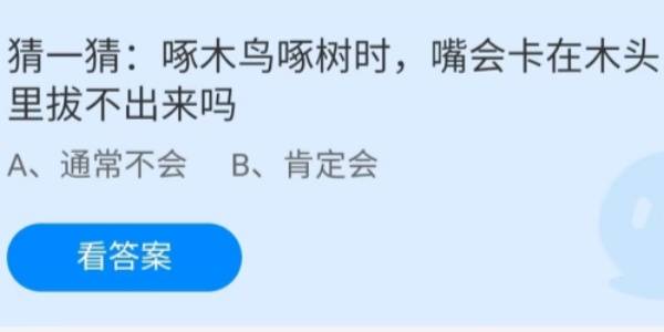 蚂蚁庄园：啄木鸟啄树时嘴会卡在木头里拔不出来吗