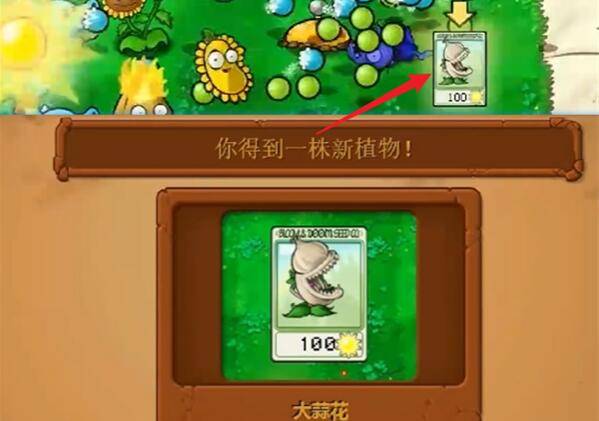 植物大战僵尸杂交版第1关攻略