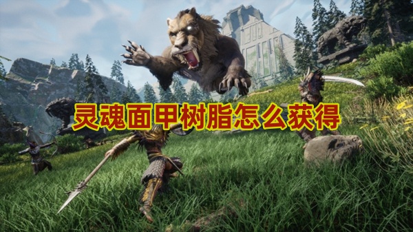 灵魂面甲树脂怎么获得
