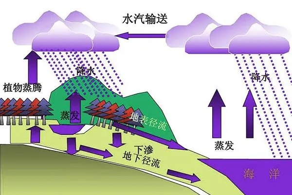 蚂蚁庄园：海洋中的盐分主要来自哪里