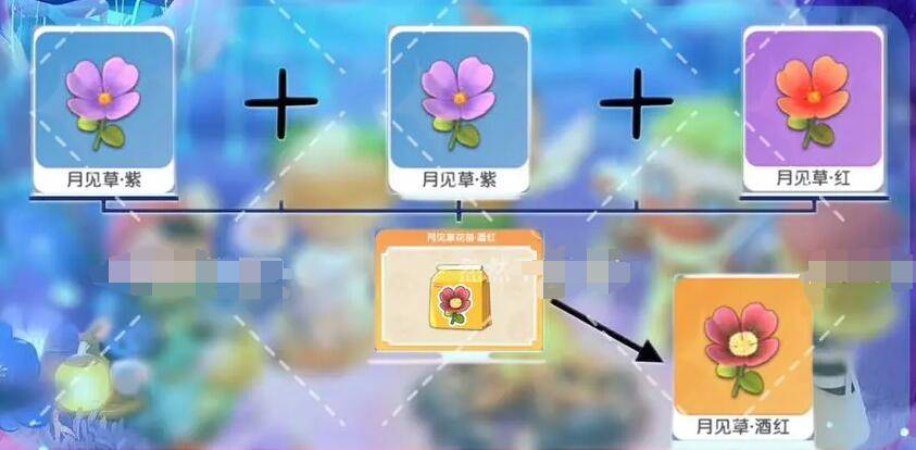 梦想家园月见草花色怎么培养