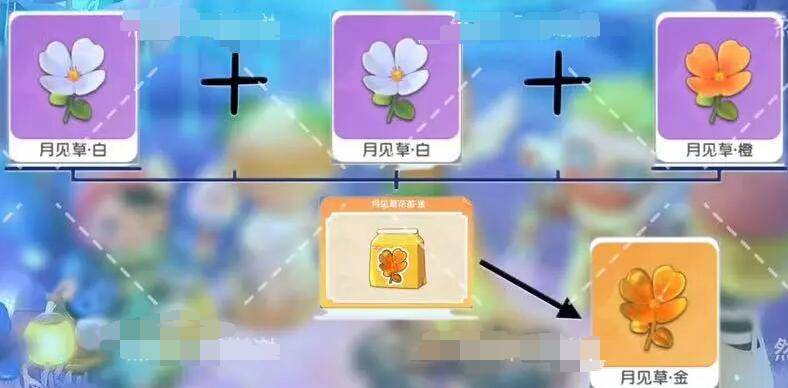 梦想家园月见草花色怎么培养