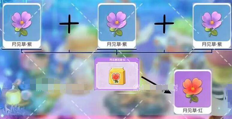 梦想家园月见草花色怎么培养