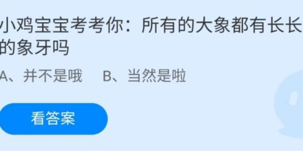 蚂蚁庄园：所有的大象都有长长的象牙吗