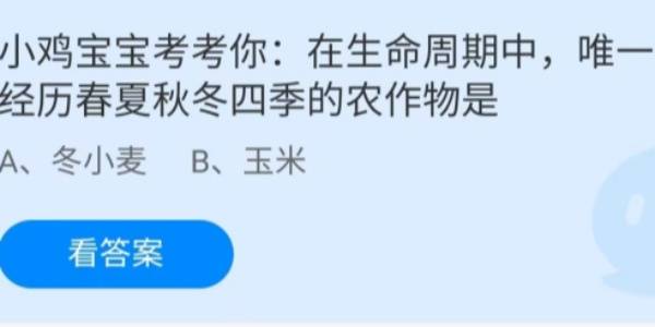 蚂蚁庄园：在生命周期中唯一经历春夏秋冬四季的农作物是