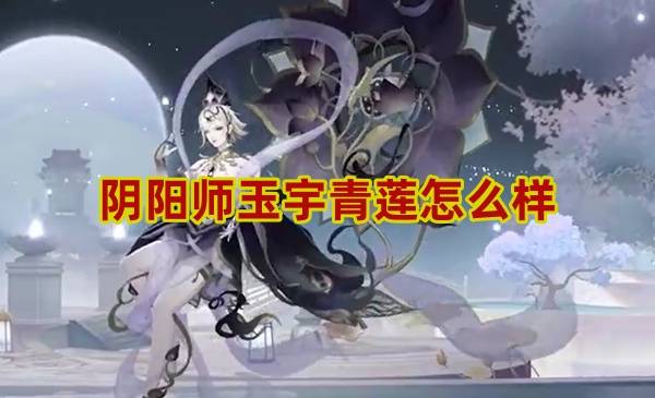 阴阳师玉宇青莲怎么样