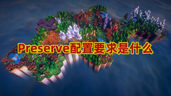 Preserve配置要求是什么