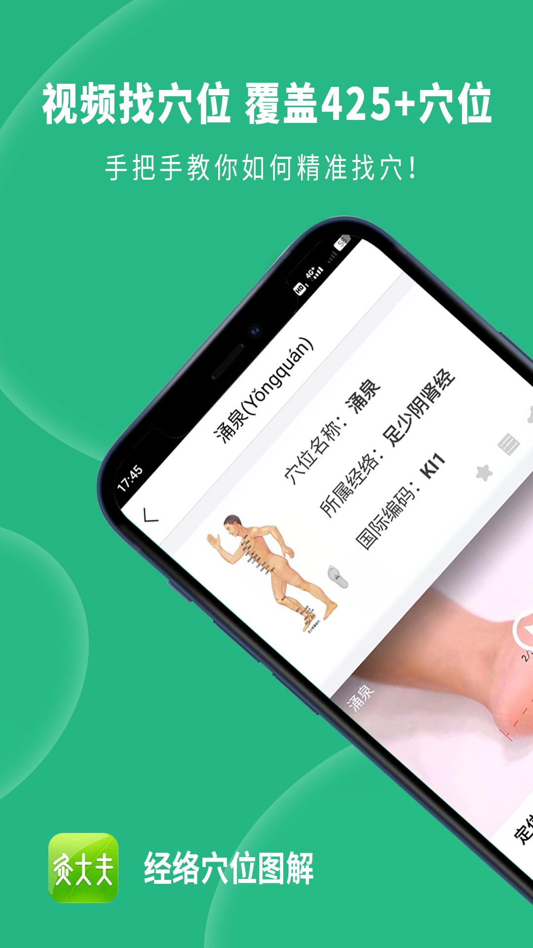 经络穴位图解app