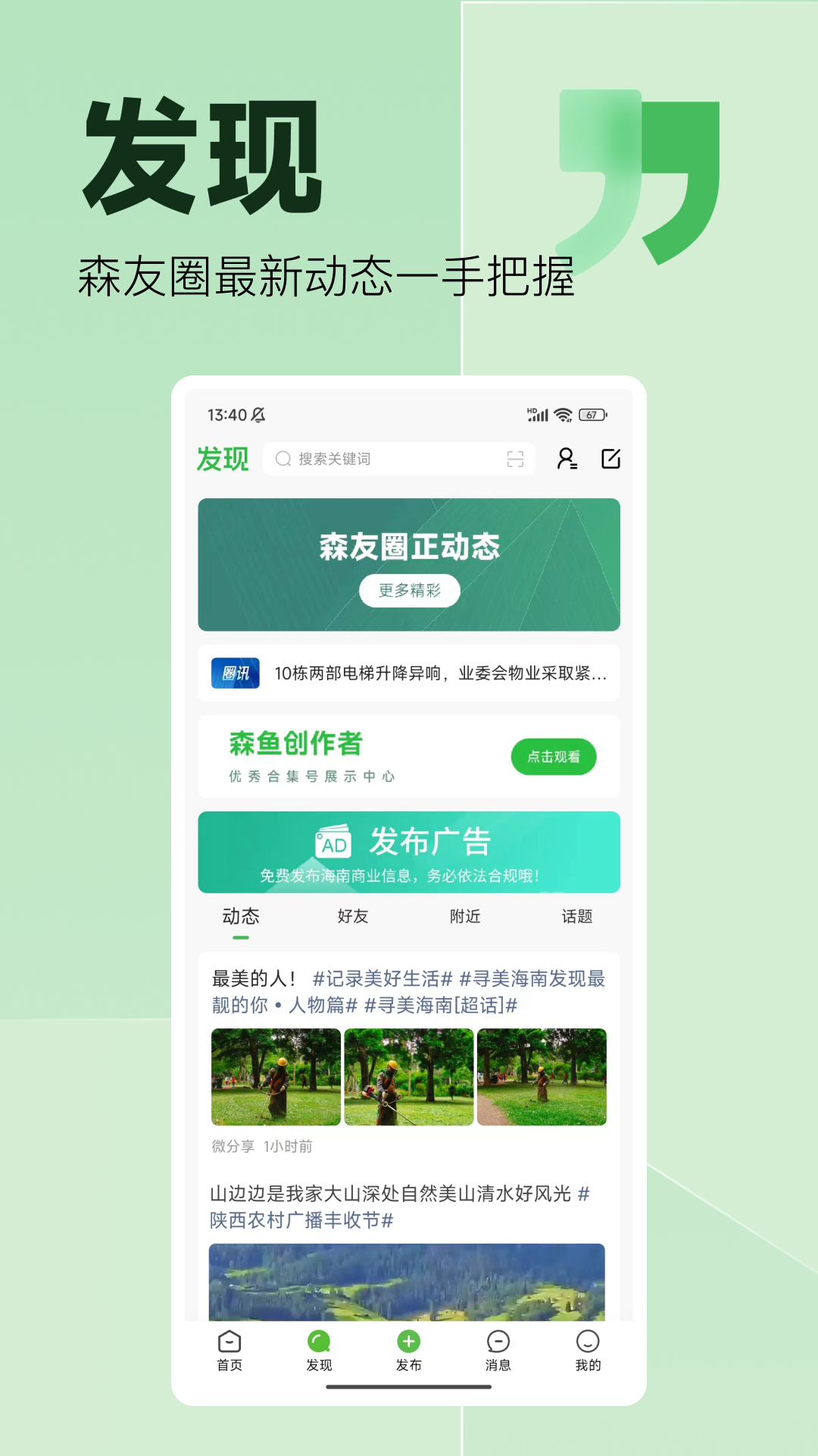 森鱼app