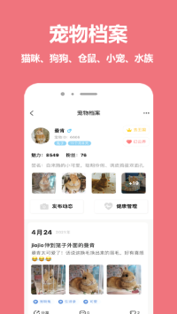 宠物王国app