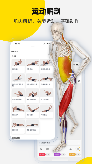 3DBody解剖app