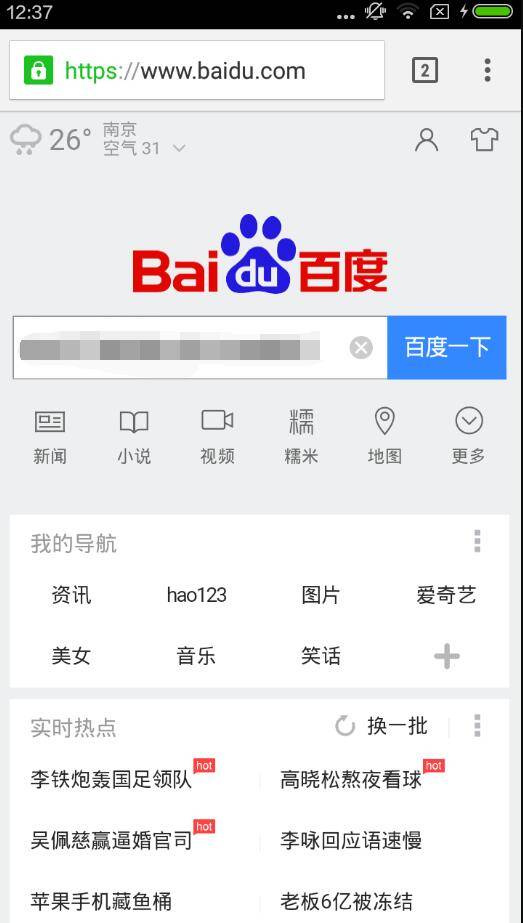 绿色浏览器下载